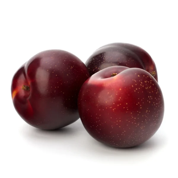 184140122 Plum